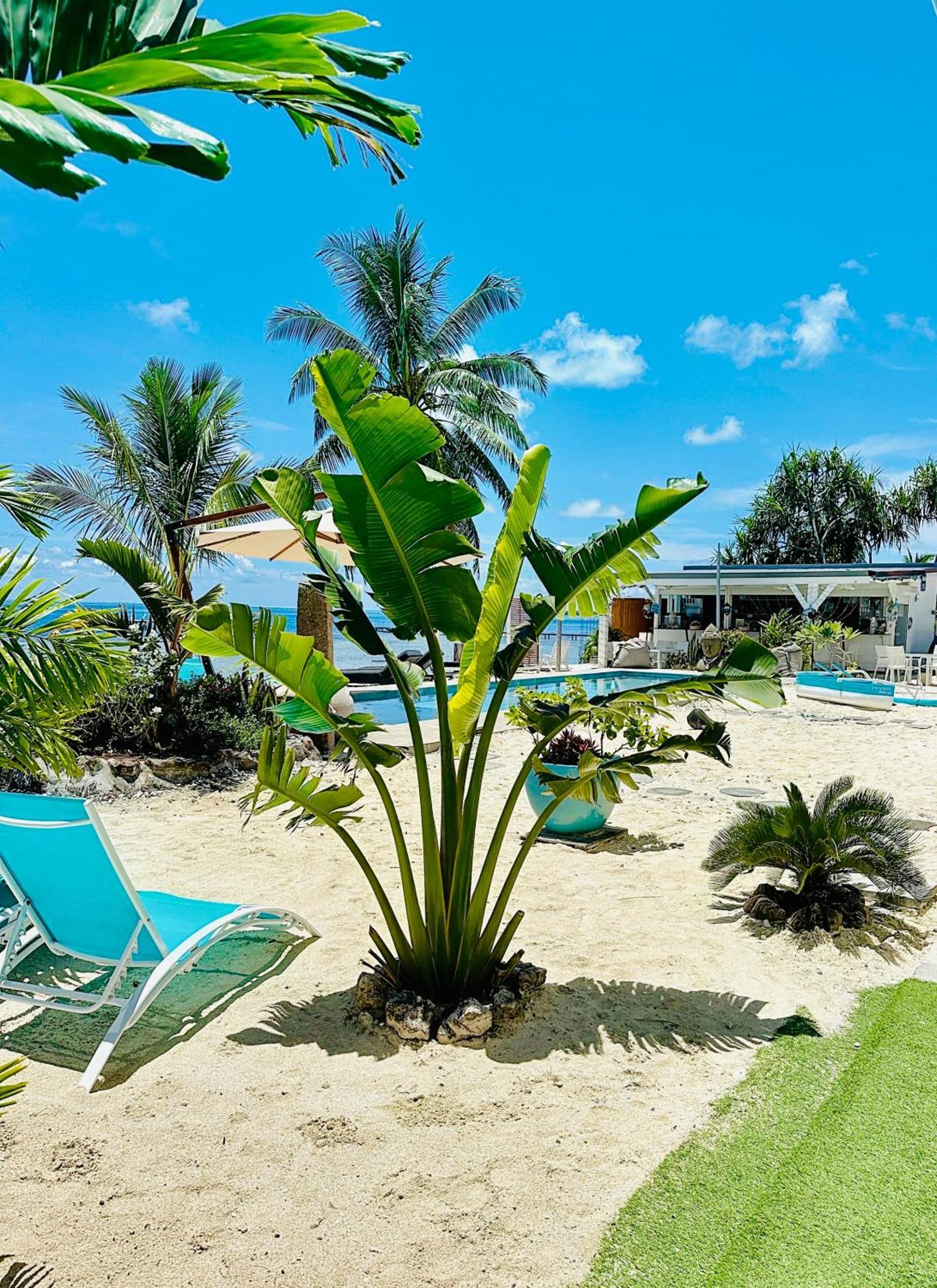 Pension Irivai, Appartement Rava 1 Chambre Bord De Mer Uturoa Exterior photo